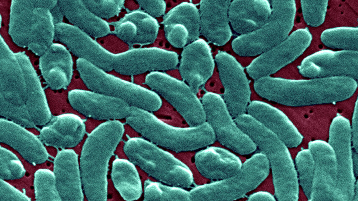 Flesh-eating bacteria devour man's arm and leg in just three days