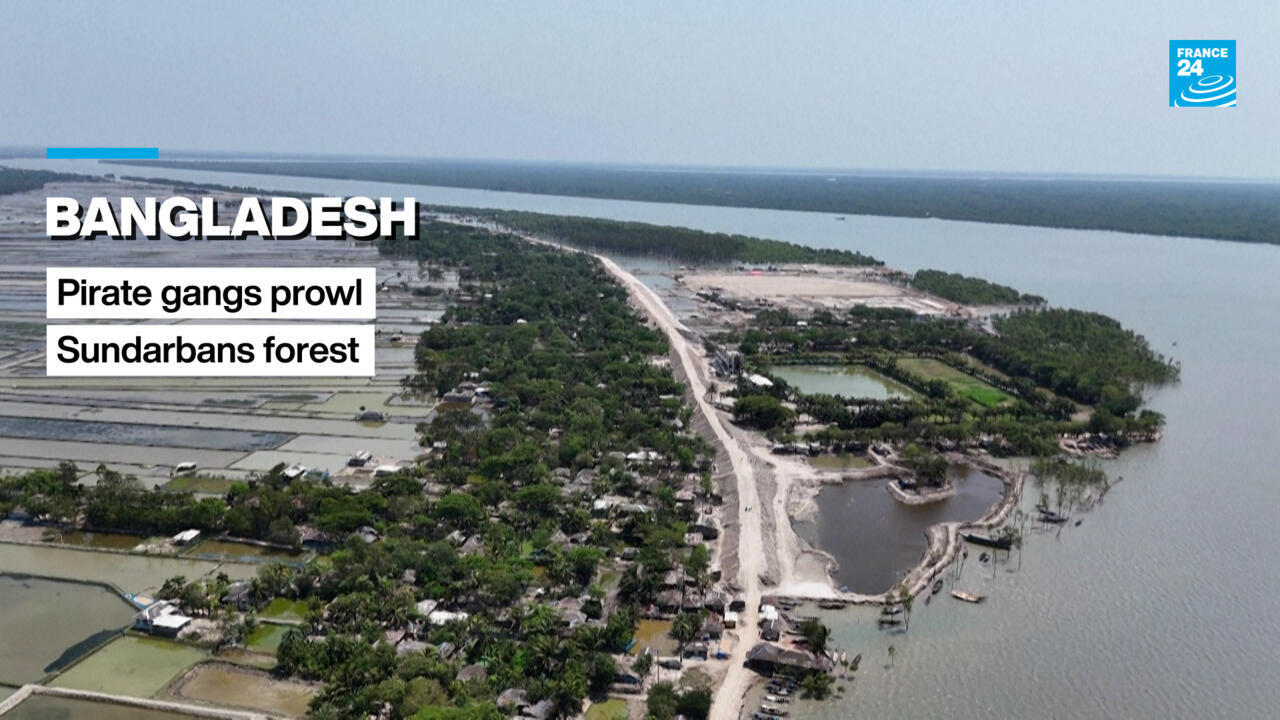 Pirate gangs prowl Bangladesh's Sundarbans forest