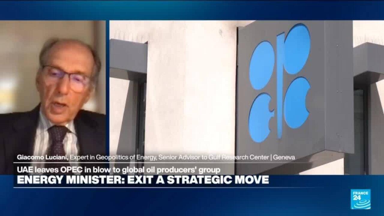 UAE OPEC departure 'a manifestation of dissatisfaction vis à vis Saudi Arabia', expert says