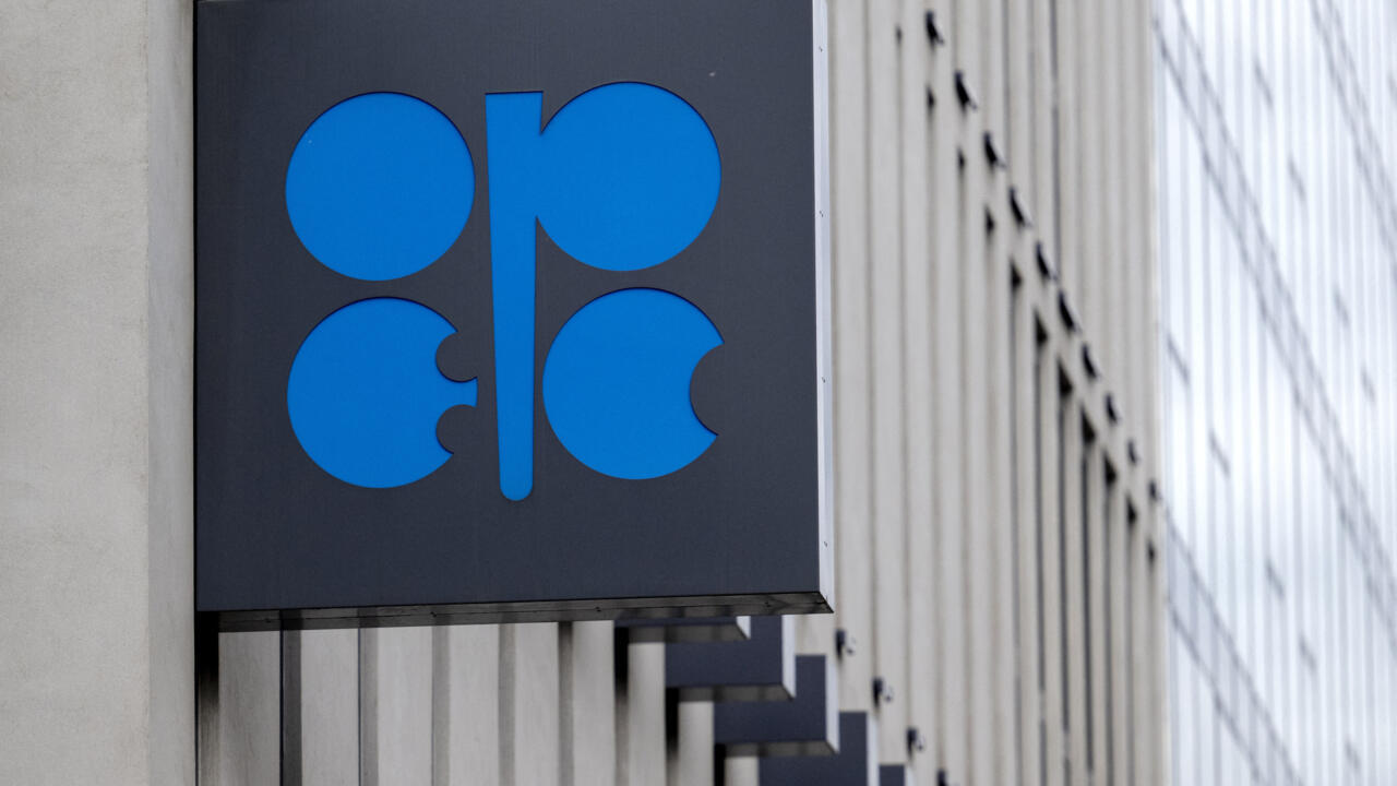 UAE to quit global oil cartel OPEC, citing 'national interests'