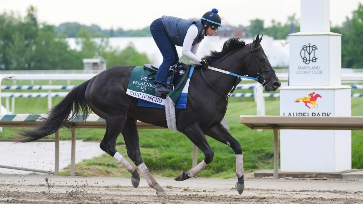 2026 Preakness Stakes predictions, odds, field, contenders, post time: Picks from proven horse racing expert