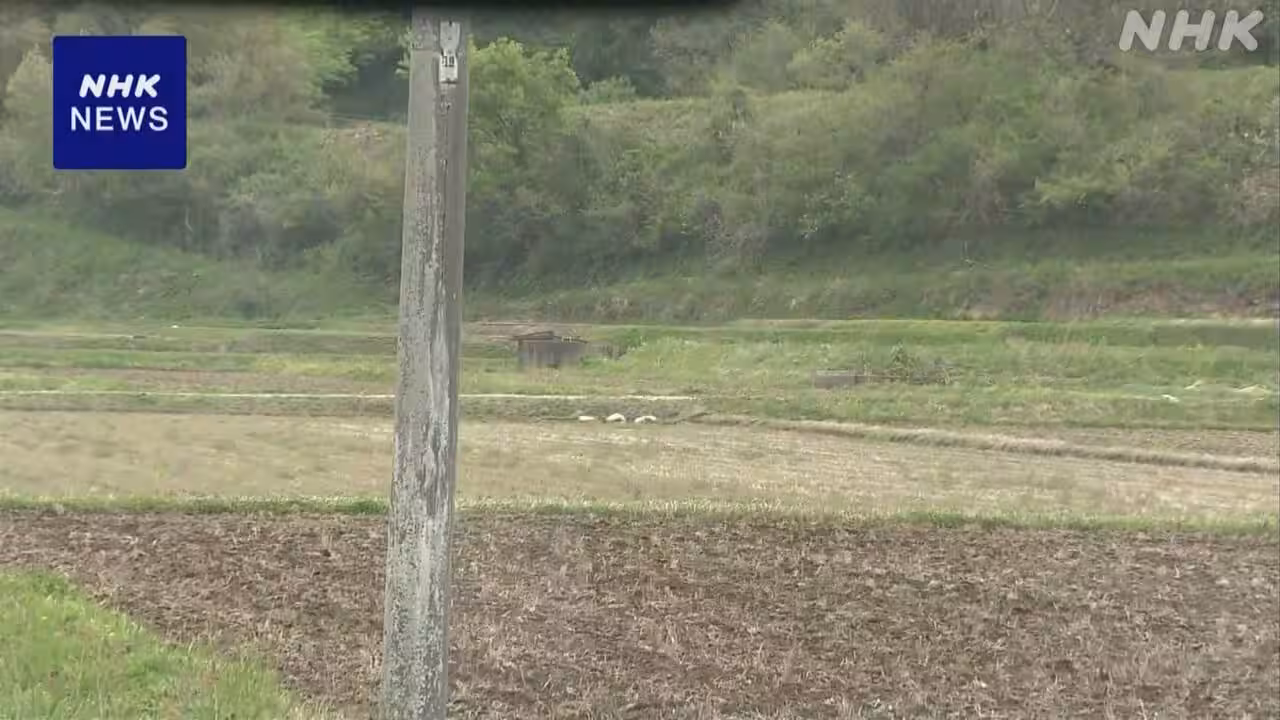秋田 由利本荘 クマに襲われ40代男性けが 田んぼの見回り中
