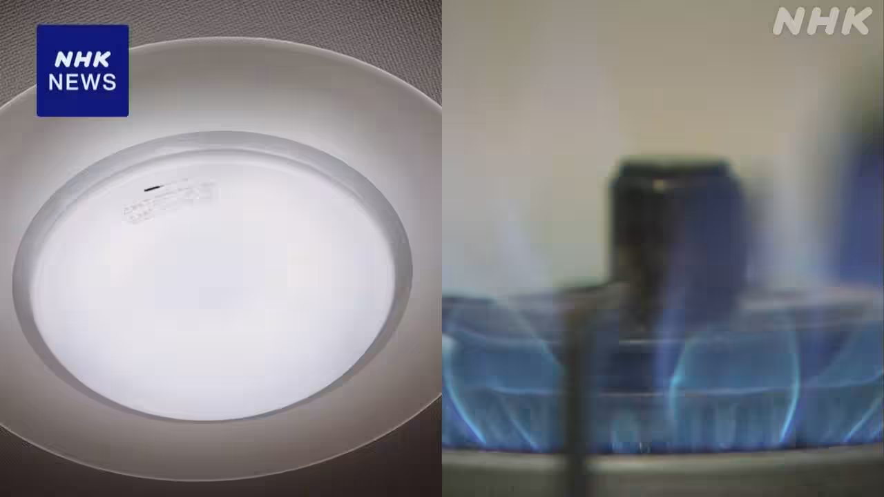 電気・ガス補助 この夏は拡充 予備費から5000億円程度支出へ
