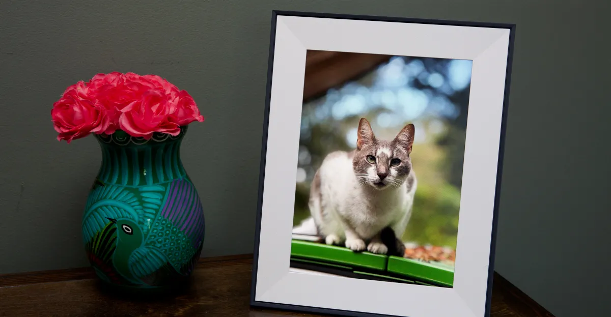 Aura’s delightful Aspen photo frame is on sale for $30 off this weekend