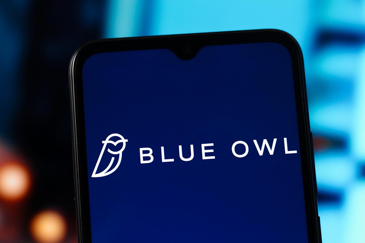 Blue Owl CEO touts Big Tech's AI spending as 'significant' opportunity for the private credit giant