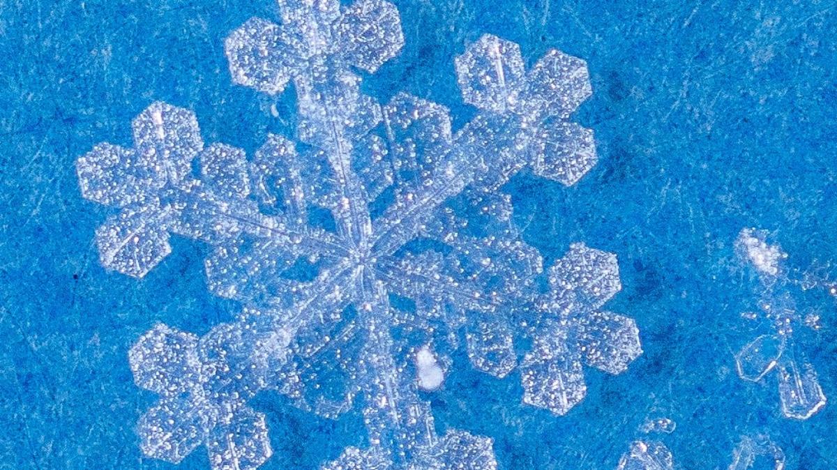 Can Snowflake’s Premium Valuation Survive a Shifting Cloud Landscape?