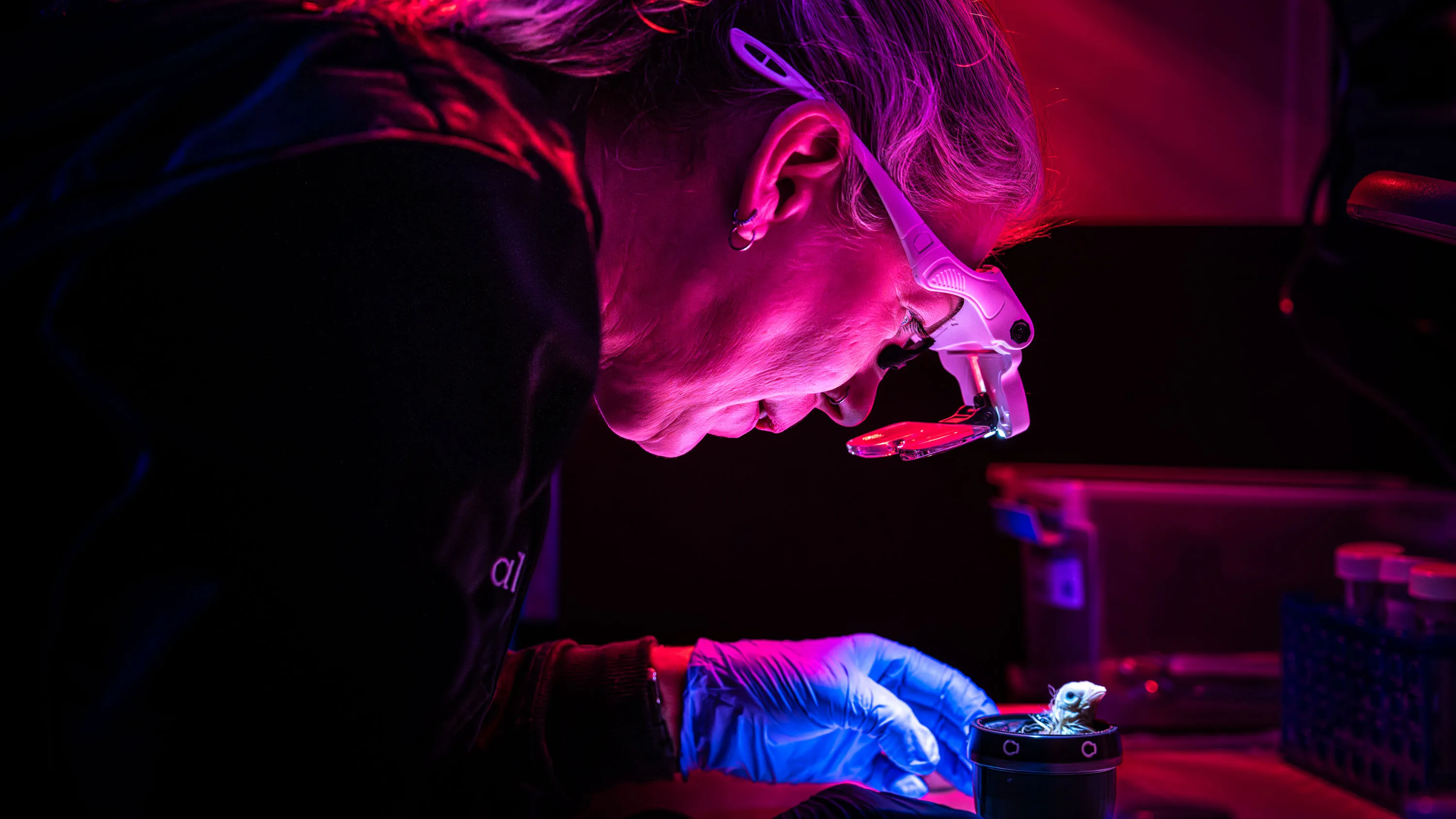 Colossal Biosciences is growing chickens in a 3D-printed container