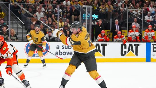 Dorofeyev, Hertl regain their scoring touch in time