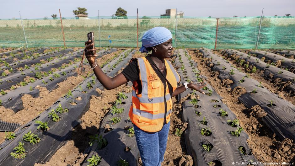 Fertilizer shortages: What Africa's options during the Hormuz crisis?