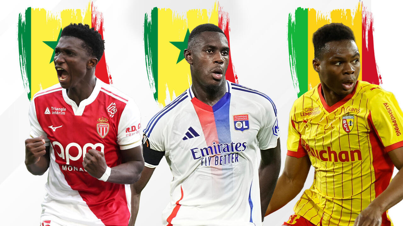 FRANCE 24-RFI award for best African player in Ligue 1: Who are the three finalists?