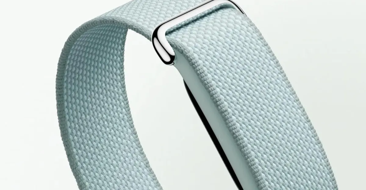 Google Fitbit Air preorders come with a second band for free