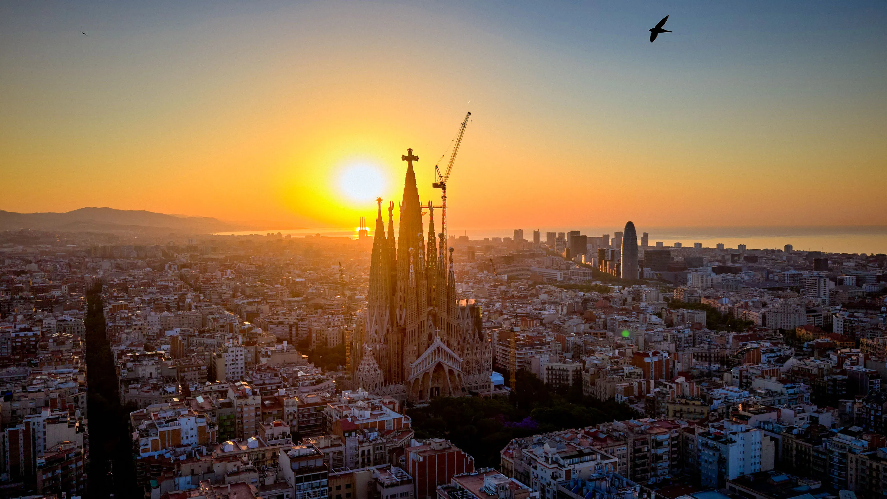 How the Pope’s Magnifica Humanitas offers a template for individuals to meet the AI moment