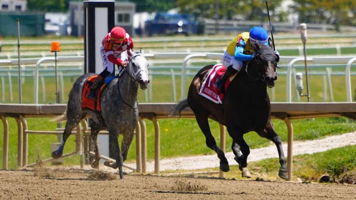
                        How to bet on the Preakness Stakes: Betting guide, odds, picks, predictions, promos, field at Laurel Park
                    