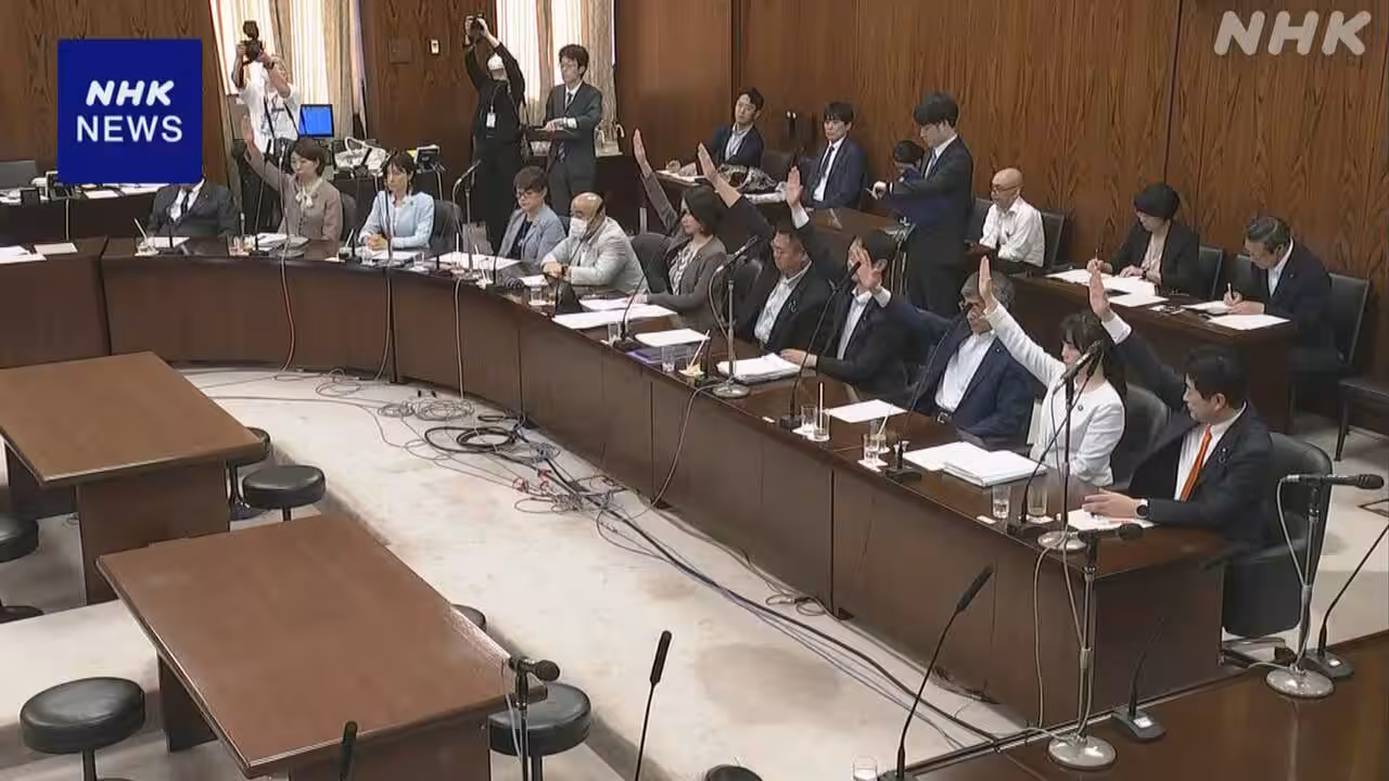 「国家情報局」設置法案 参議院内閣委員会で可決 あす成立へ
