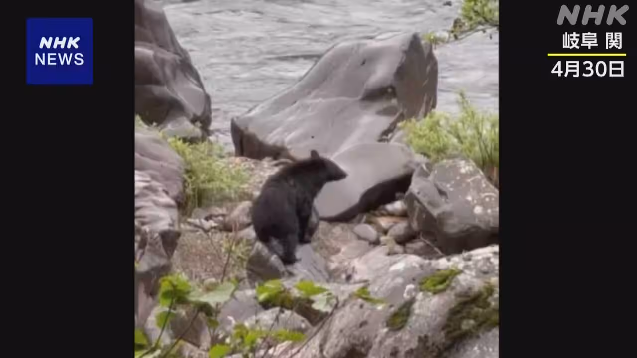 クマの目撃相次ぐ ニワトリの被害も 岐阜 関