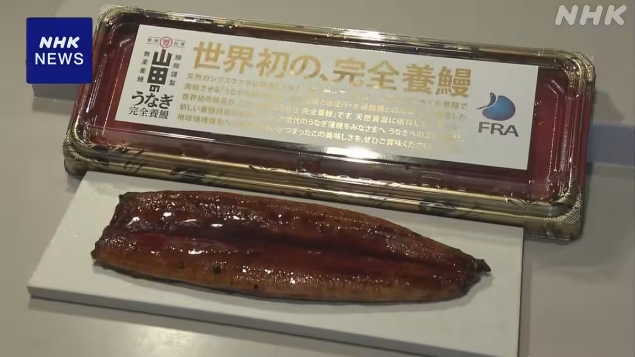 世界初 「完全養殖」ウナギ 販売始まる