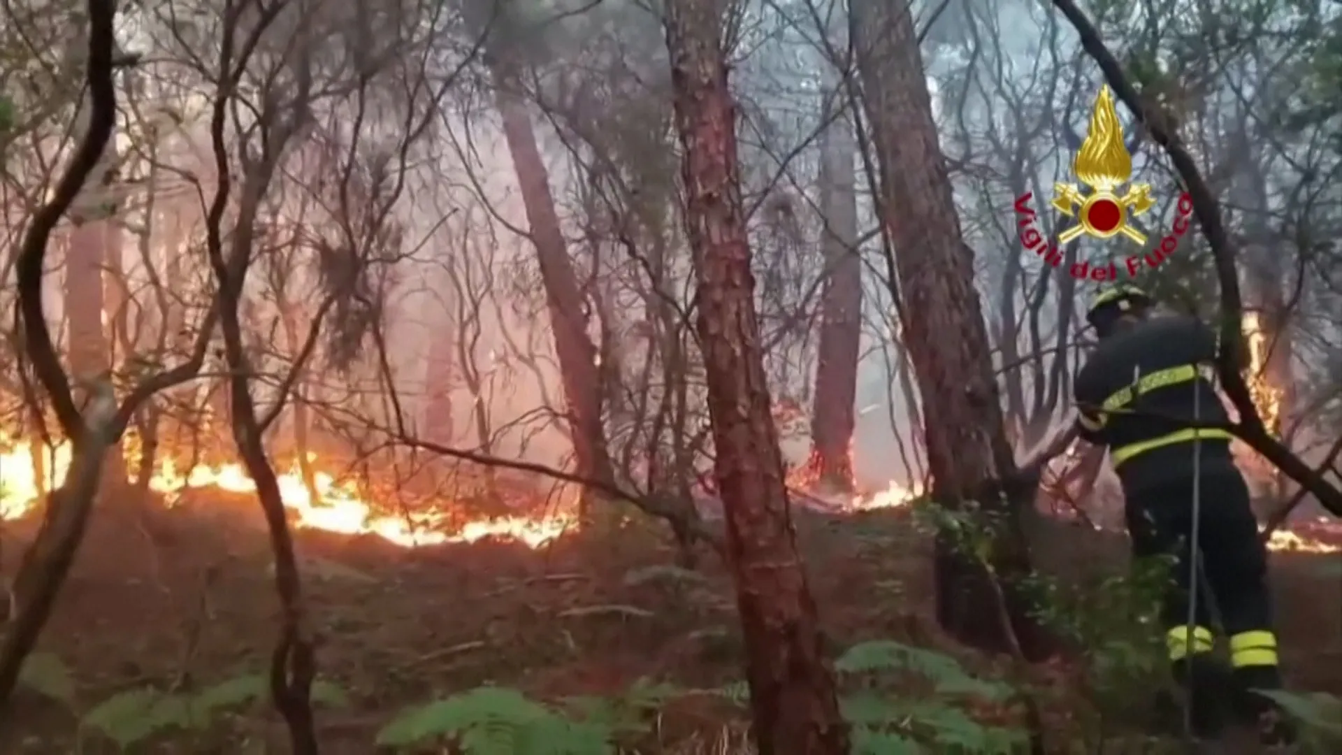 Italian firefighters respond to Tuscany wildfires