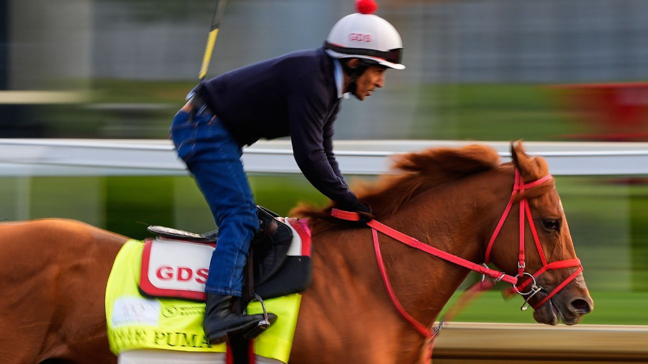 Kentucky Derby at 19 horses with The Puma out
