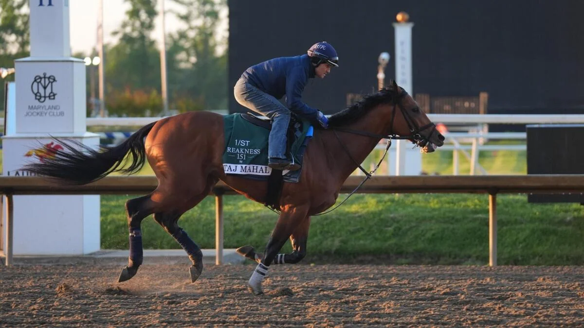 
                        Preakness Stake 2026 odds, posts, date: Iron Honor, Taj Mahal, Incredibolt predictions via top expert
                    