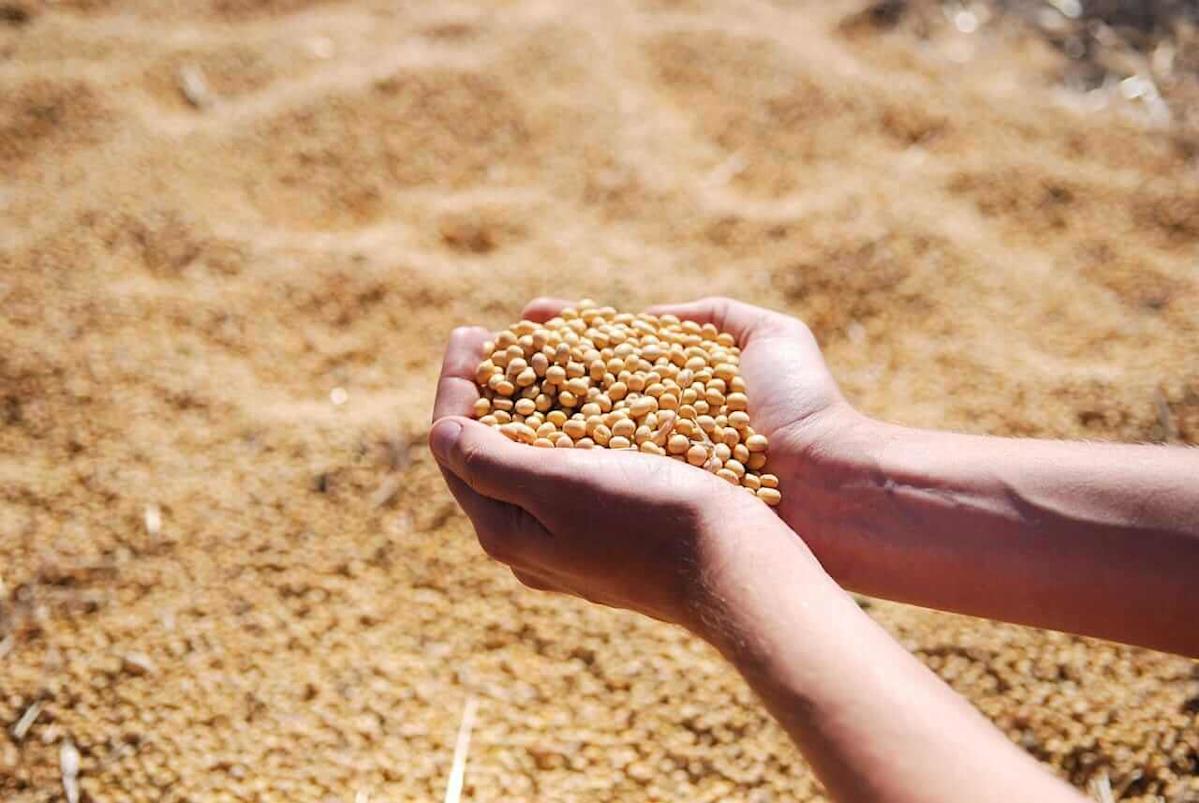 Soybeans Rounds Out the Week with Strength