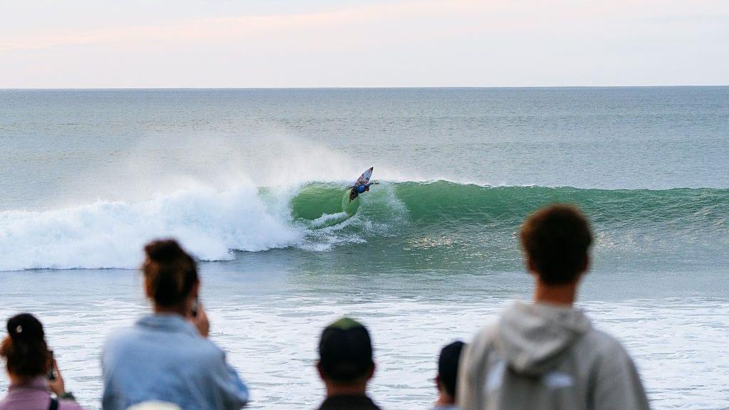 Surf photographer attacked in water by 'shark or sea lion'