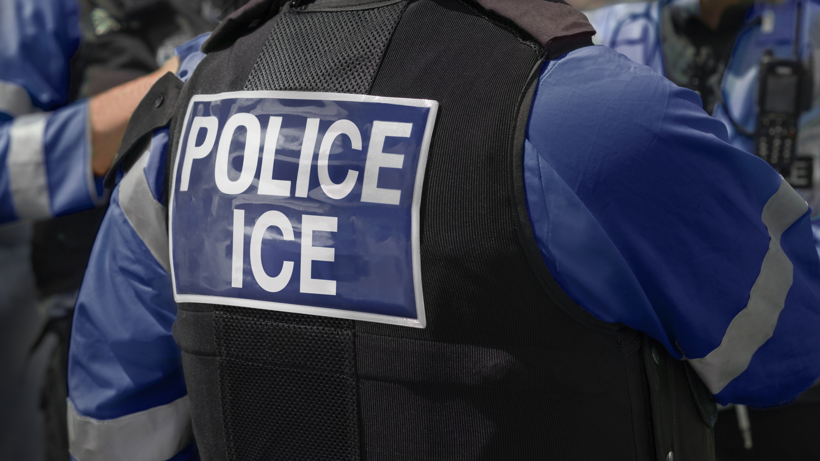 The DOJ is reportedly asking Reddit and X for the identities of anti-ICE posters
