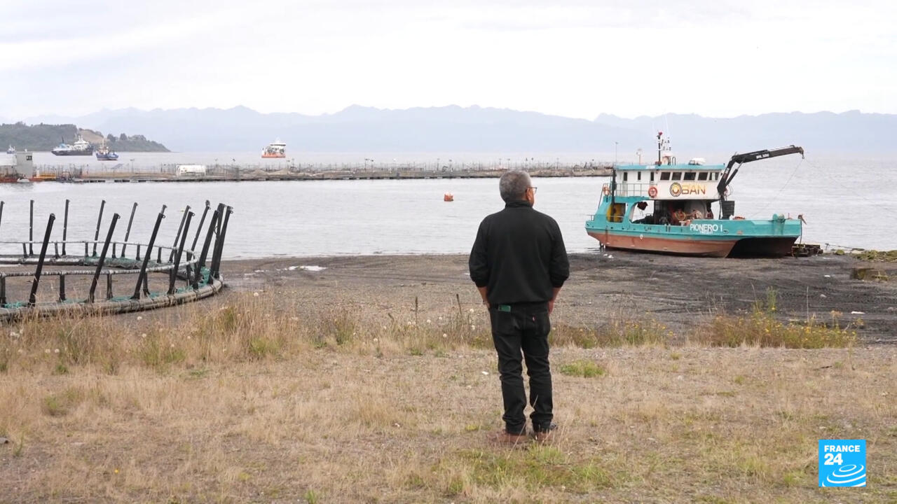 The murky waters of Chile's salmon industry