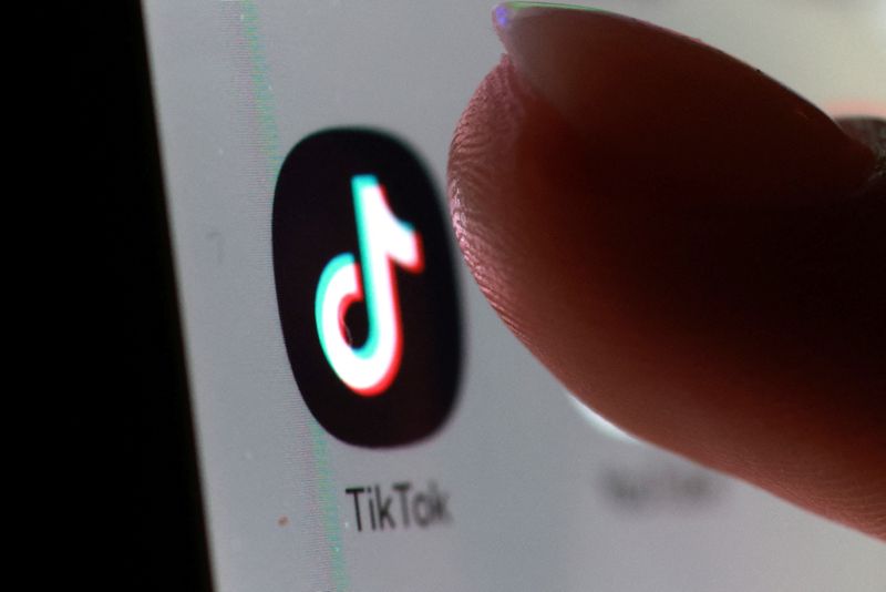 TikTok challenges EU 'gatekeeper' status at Europe's top court