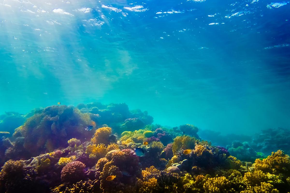 TMC and Allseas Just Signed an Agreement to Develop a Commercial Nodule Recovery System. Does This Move Make the Stock a Buy in 2026 and Beyond?
