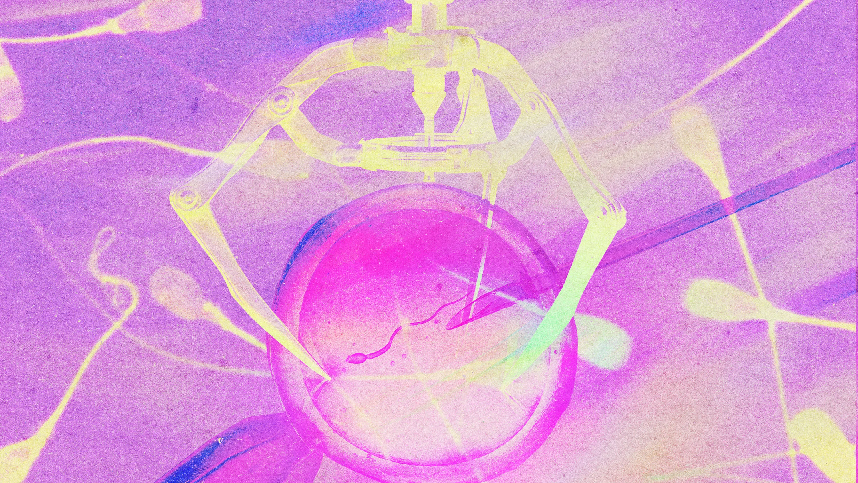 What’s next for IVF