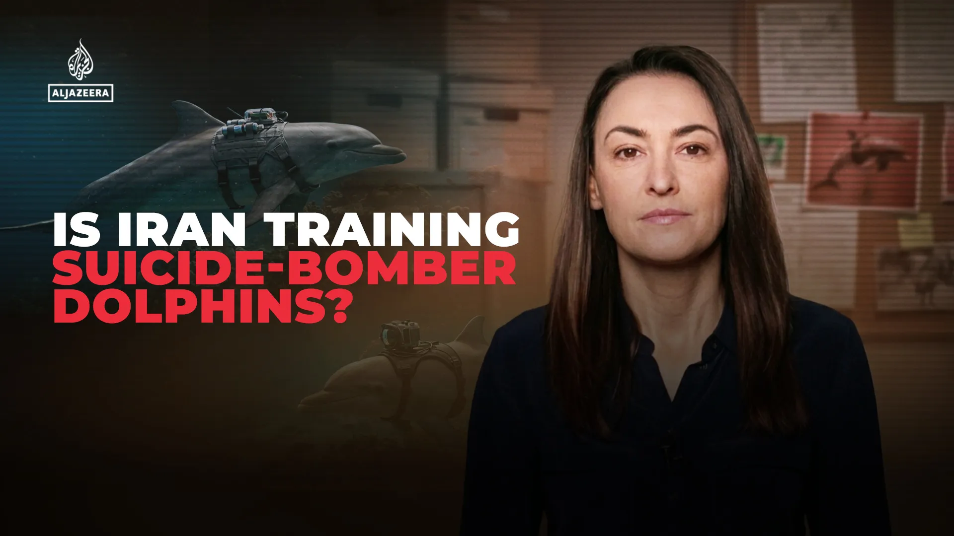 Why are Pentagon officials talking about Iran’s ‘deadly dolphins’?