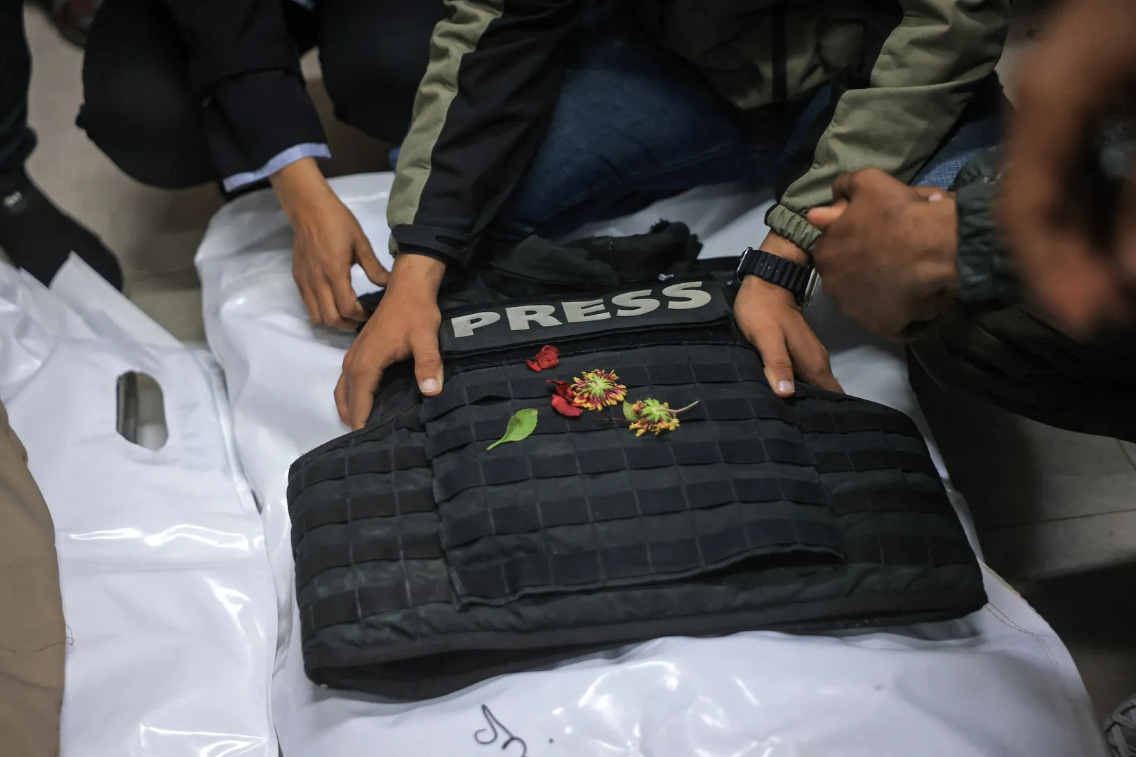 World Press Freedom Day marked in Gaza as journalist death toll rises