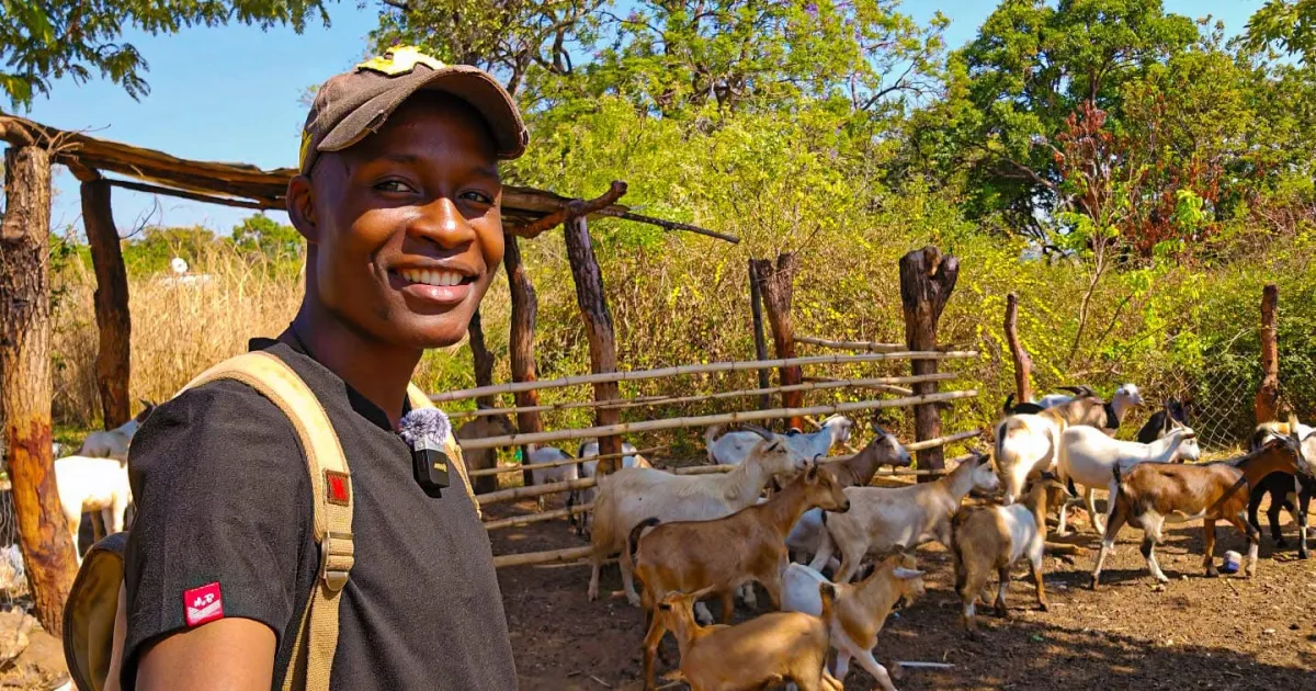 Zimbabwe’s diaspora reshapes real estate and farming investment trends