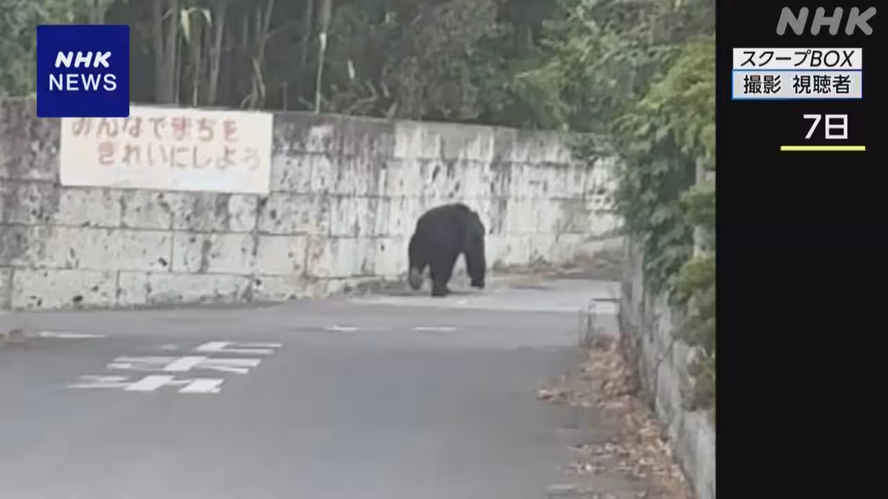 宇都宮市でクマ1頭の捕獲準備進めるも中止 けさから再捜索