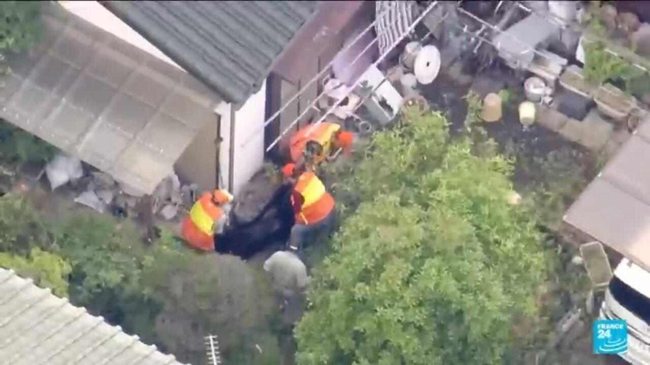 Bear captured in Japan after multi-day search as attacks rise