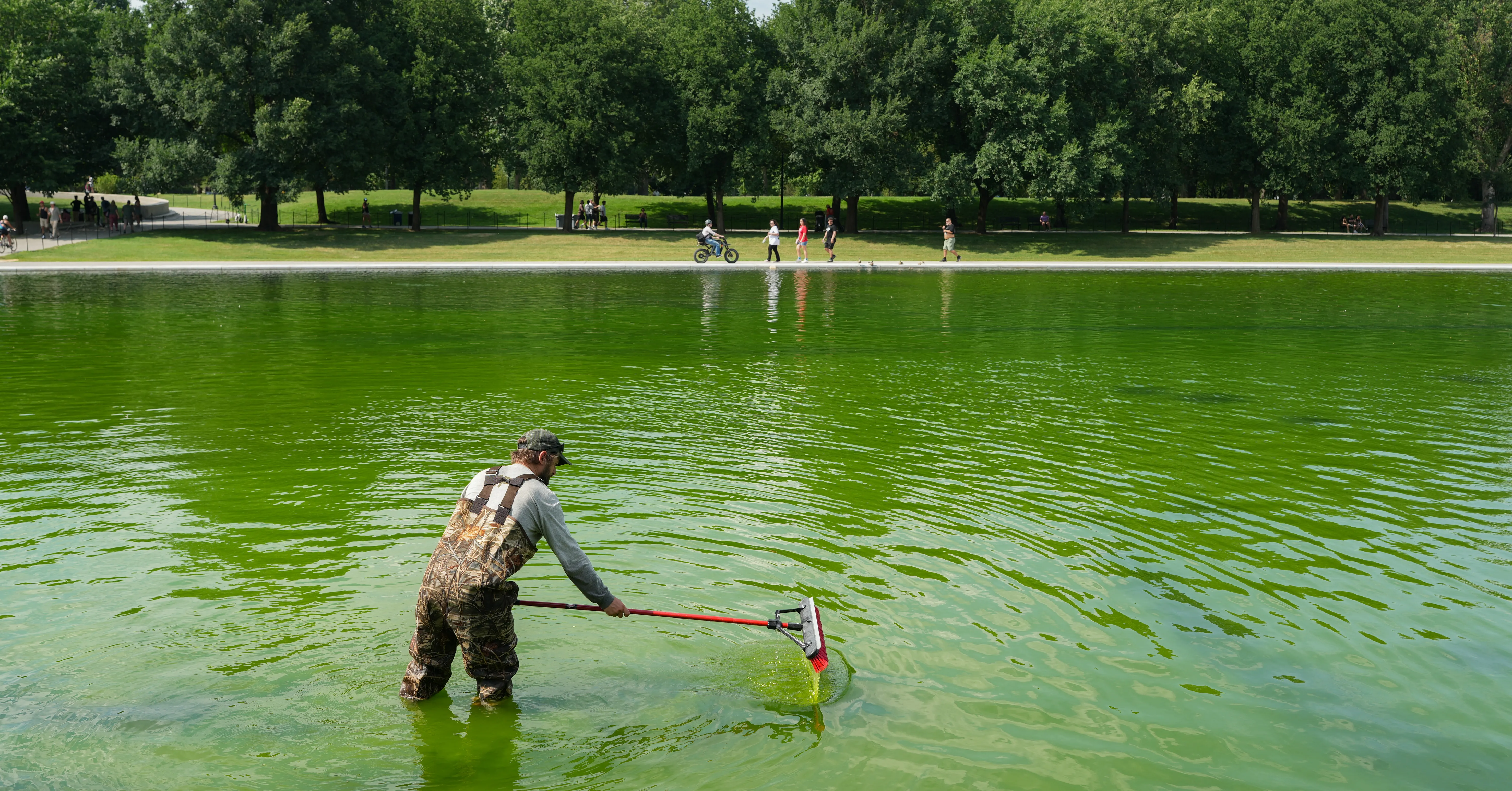 Even the Internet’s Favorite Pool Guy Doesn’t Know How to Fix the Reflecting Pool