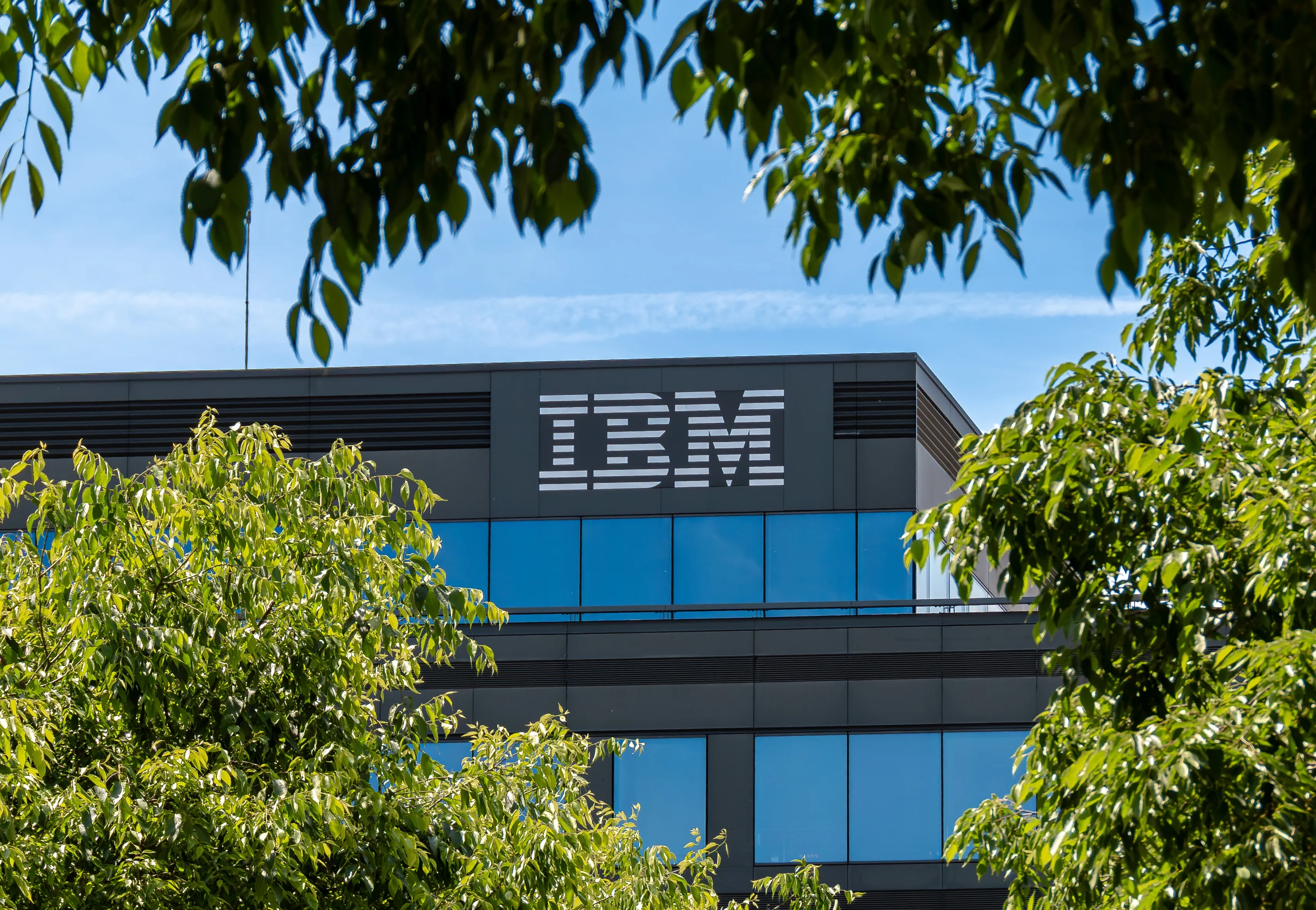 Former cyber executive turned whistleblower accuses IBM of covering up several data breaches