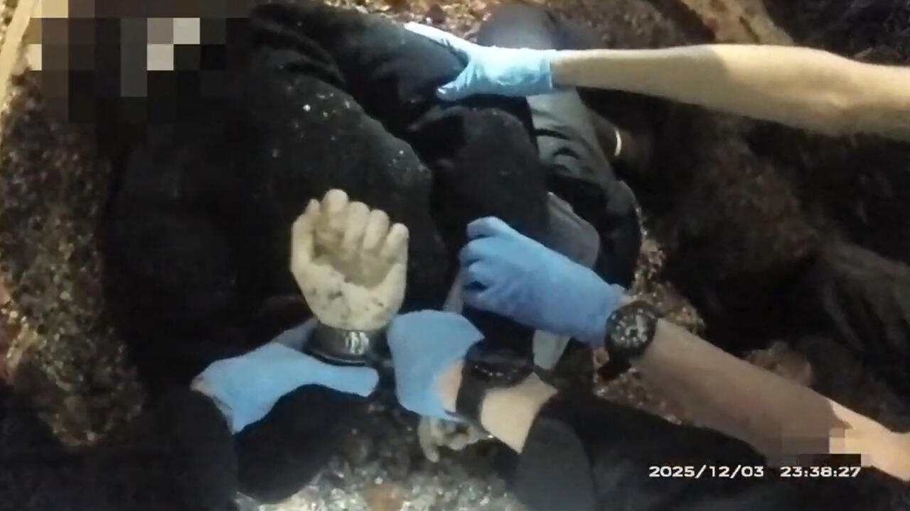'I can't breathe': protesters clash with police over handcuffed dying student