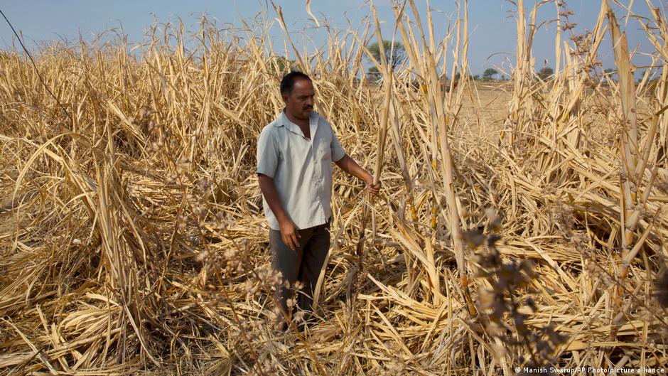 India braces for drought as El Nino threatens monsoon rains