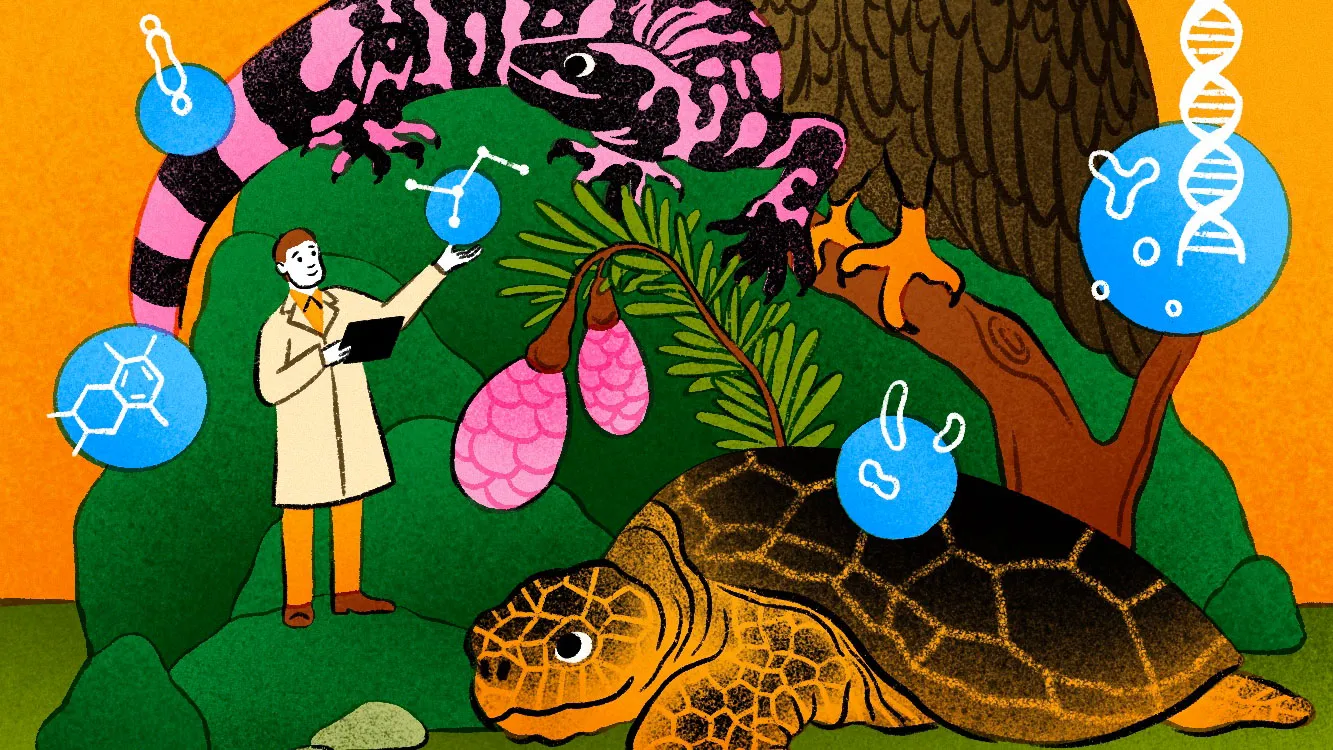 Job titles of the future: Nature’s drug designer