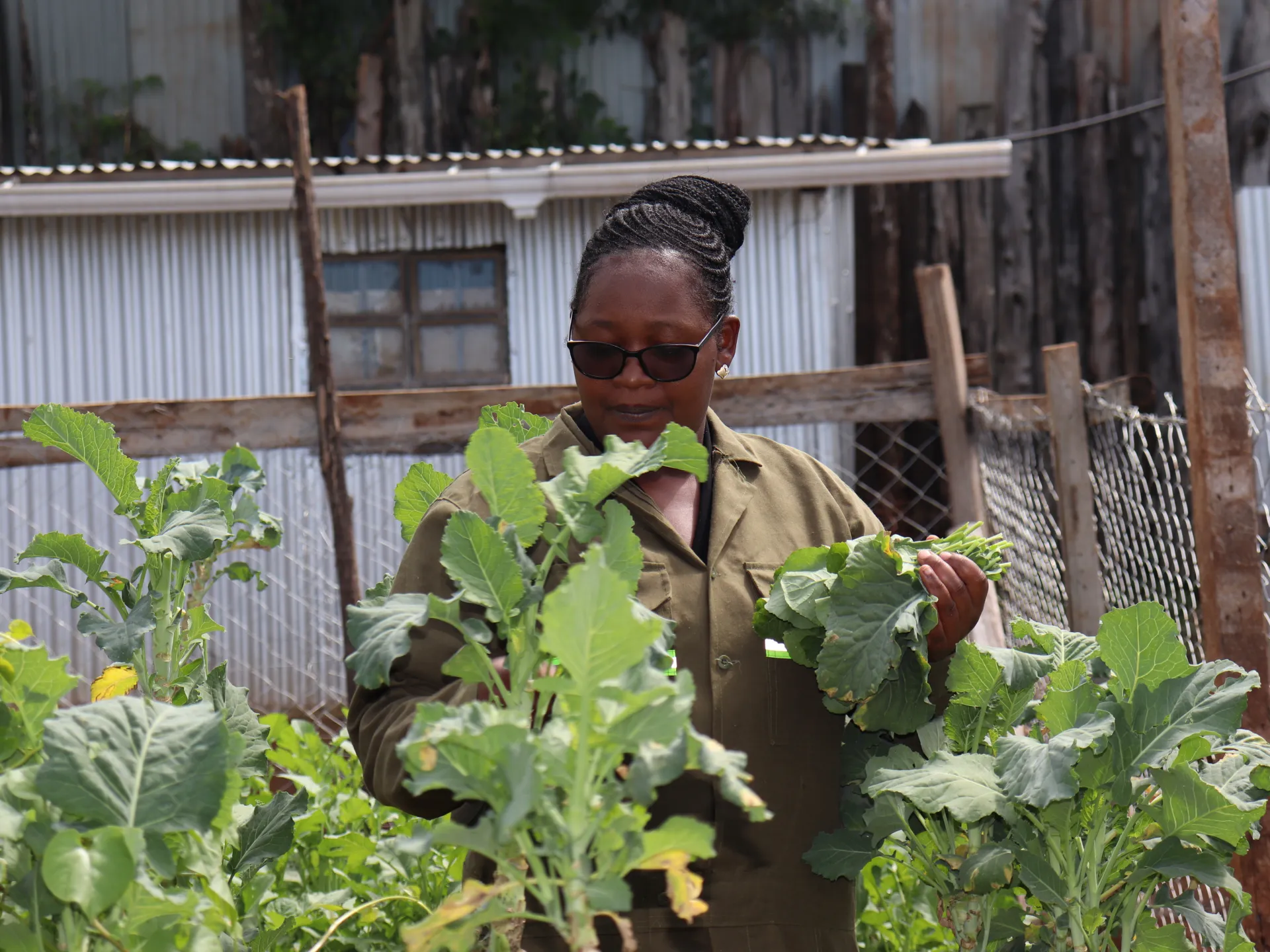Kenyan graduates turn to AI tools for farming as jobs dry up