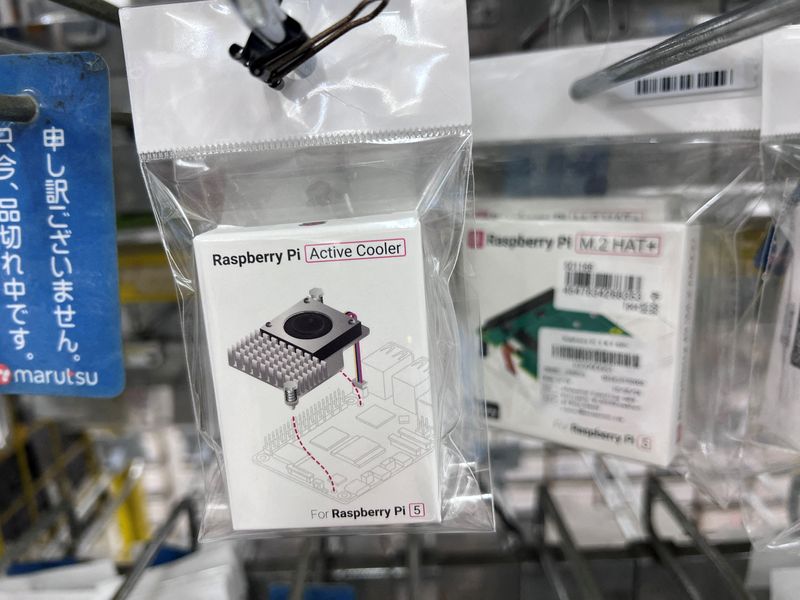UK's Raspberry Pi shares hit record as industrial demand boosts outlook