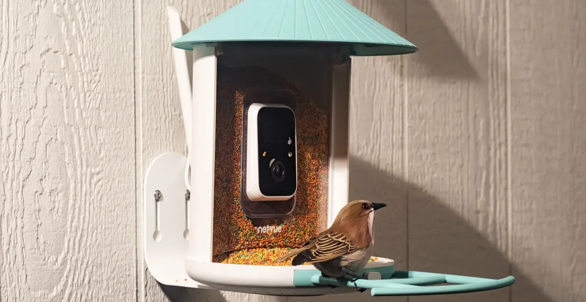 Birdfy’s solar-powered smart feeder is down to one of its best prices
