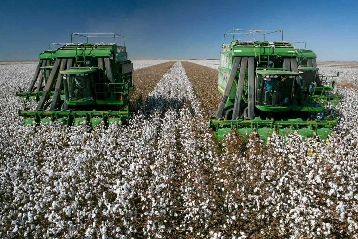 Cotton Fading Back Lower on Monday