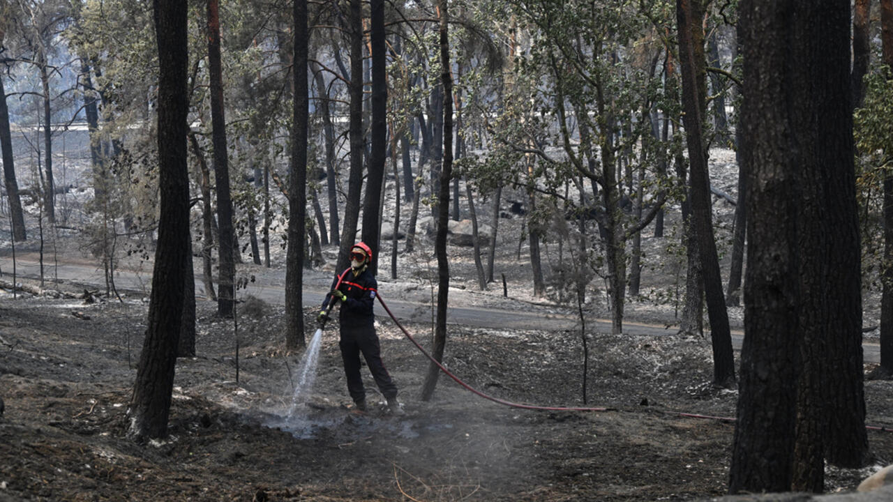 Fire reignites in Fontainebleau forest as investigation continues
