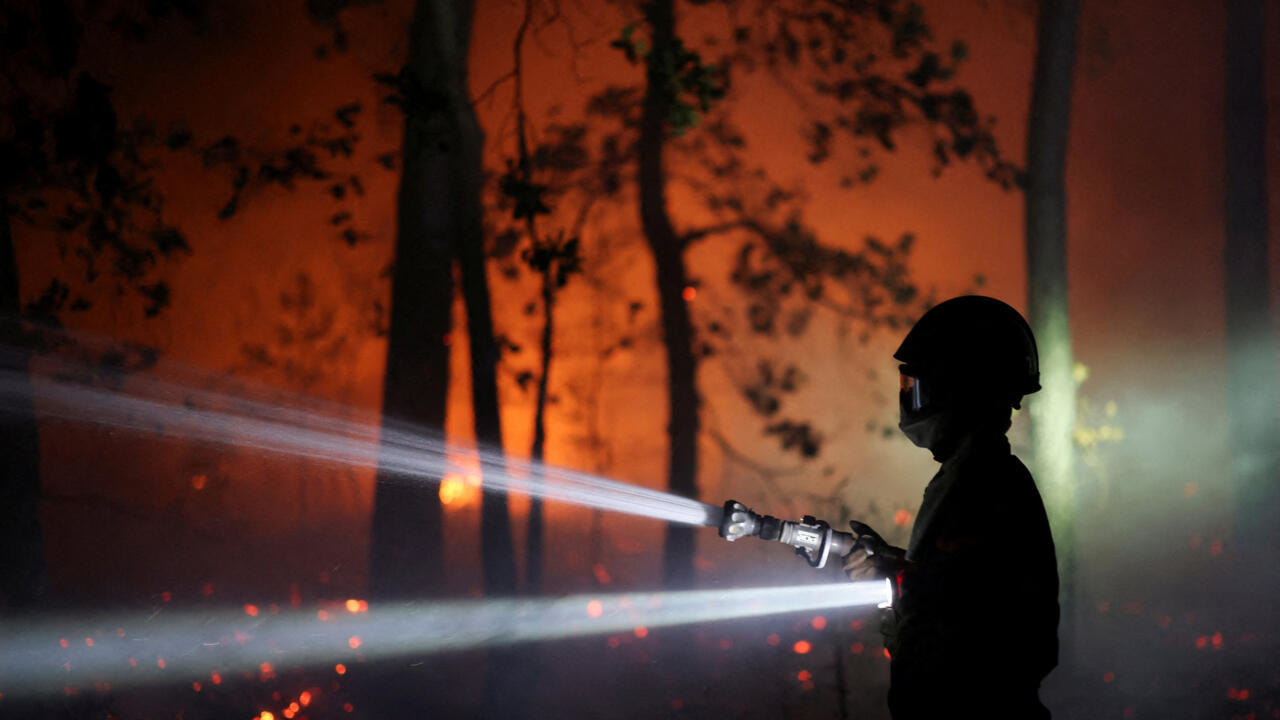 Firefighters battle flames in Fontainebleau historic forest