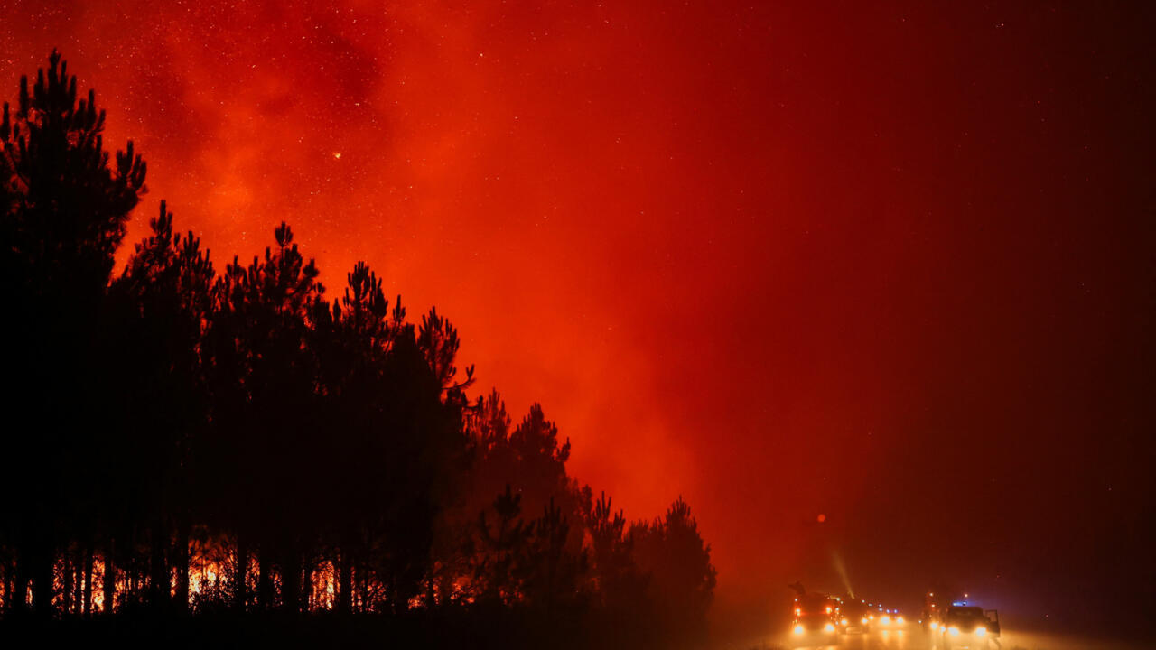 Fires in France: 42,000 hectares burnt, 220,000 people evacuated