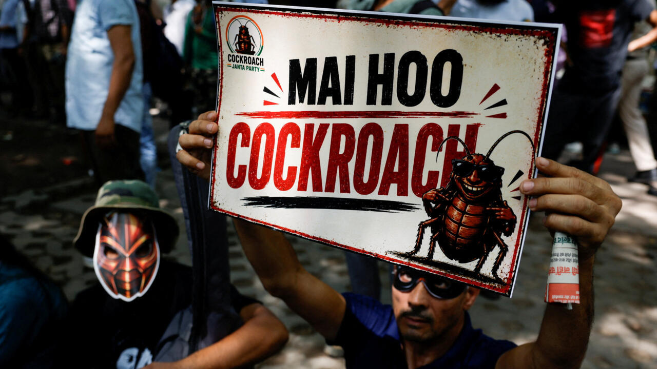 How the student 'Cockroach' movement grew its influence across India