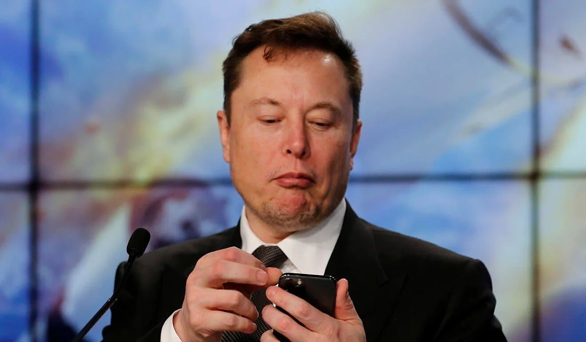 If Musk had bought Bitcoin and gold instead of Twitter, here's what it would be worth today