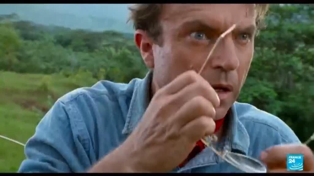 Jurassic Park, The Piano, The Tudors... New Zealand actor Sam Neill dies at 78